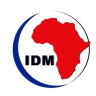 IDM Logo